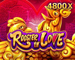 JDB : Rooster In Love - MG138